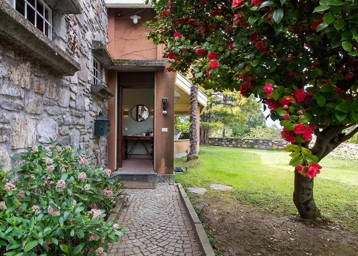 Дом отдыха Camelia By Interhome