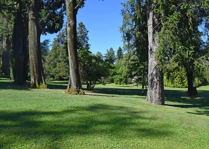 Camelia By Interhome Casa vacanze *